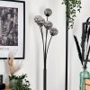 Bernado Floor Lamp - glass 10 cm Smoke-coloured, 5-light sources