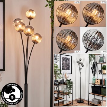 Bernado Floor Lamp - glass 10 cm Smoke-coloured, 5-light sources