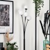 Bernado Floor Lamp - glass 10 cm white, 5-light sources