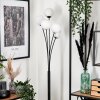 Bernado Floor Lamp - glass 12 cm white, 5-light sources