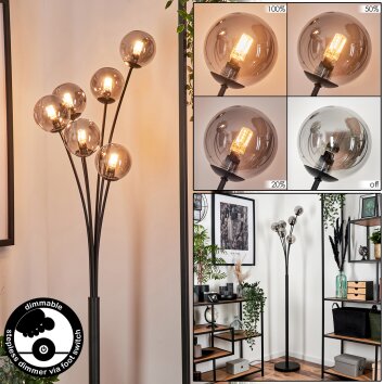 Bernado Floor Lamp - glass 10 cm clear, Smoke-coloured, 6-light sources
