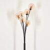 Bernado Floor Lamp - glass 12 cm Amber, 6-light sources