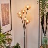 Bernado Floor Lamp - glass 12 cm Amber, clear, 6-light sources