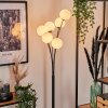 Bernado Floor Lamp - glass 12 cm white, 6-light sources
