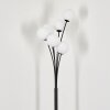 Bernado Floor Lamp - glass 12 cm white, 6-light sources