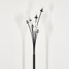 Bernado Floor Lamp - glass 10 cm clear, 6-light sources