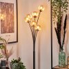 Bernado Floor Lamp - glass 10 cm Amber, 6-light sources
