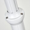 Loria Lamp Post white, 2-light sources