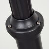 Loria Lamp Post black, 3-light sources
