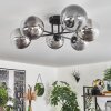 Chehalis Ceiling Light - glass 15 cm clear, Smoke-coloured, 6-light sources