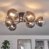 Chehalis Ceiling Light - glass 15 cm clear, Smoke-coloured, 6-light sources