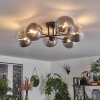 Chehalis Ceiling Light - glass 15 cm clear, Smoke-coloured, 6-light sources