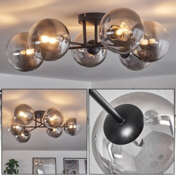 Chehalis Ceiling Light - glass 15 cm clear, Smoke-coloured, 6-light sources