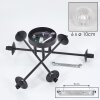Chehalis Ceiling Light - glass 10 cm clear, 6-light sources