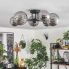 Chehalis Ceiling Light - glass 12 cm, 15 cm Smoke-coloured, 6-light sources