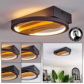 Cornol Ceiling Light LED Ecru, black, 1-light source