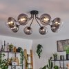 Chehalis Ceiling Light - glass 15 cm black, 8-light sources