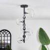 Chehalis Ceiling Light - glass 10 cm, 12 cm, 15 cm clear, 8-light sources