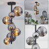 Chehalis Ceiling Light - glass 10 cm, 12 cm, 15 cm Smoke-coloured, 8-light sources
