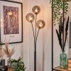 Bernado Floor Lamp - glass 15 cm Smoke-coloured, 3-light sources