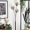 Bernado Floor Lamp - glass 15 cm Smoke-coloured, 3-light sources