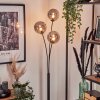 Bernado Floor Lamp - glass 15 cm Smoke-coloured, 3-light sources