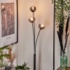Bernado Floor Lamp - glass 10 cm clear, Smoke-coloured, 3-light sources