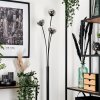 Bernado Floor Lamp - glass 10 cm clear, Smoke-coloured, 3-light sources