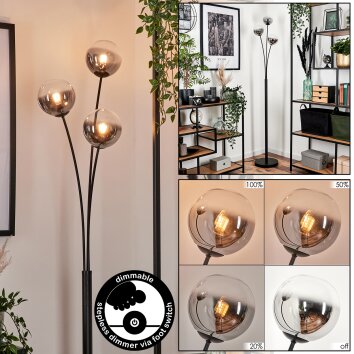 Bernado Floor Lamp - glass 12 cm clear, Smoke-coloured, 3-light sources