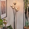 Bernado Floor Lamp - glass 10 cm clear, Smoke-coloured, 5-light sources