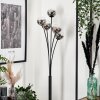 Bernado Floor Lamp - glass 10 cm clear, Smoke-coloured, 5-light sources