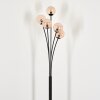 Bernado Floor Lamp - glass 10 cm Amber, 5-light sources
