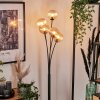 Bernado Floor Lamp - glass 12 cm Amber, 5-light sources