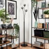 Bernado Floor Lamp - glass 10 cm Smoke-coloured, 3-light sources