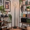 Bernado Floor Lamp - glass 10 cm Smoke-coloured, 3-light sources
