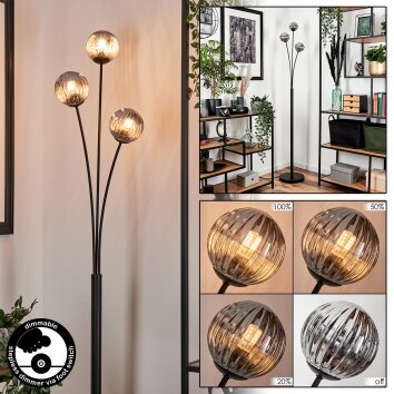Bernado Floor Lamp - glass 10 cm Smoke-coloured, 3-light sources
