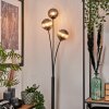 Bernado Floor Lamp - glass 12 cm Smoke-coloured, 3-light sources