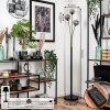 Bernado Floor Lamp - glass 12 cm Smoke-coloured, 3-light sources