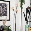 Bernado Floor Lamp - glass 10 cm Amber, 3-light sources