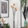 Bernado Floor Lamp - glass 10 cm Amber, 5-light sources