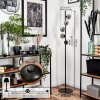 Remaisnil Floor Lamp - glass 10 cm Smoke-coloured, 5-light sources
