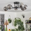 Chehalis Ceiling Light - glass 10 cm Smoke-coloured, 6-light sources