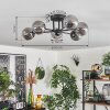 Chehalis Ceiling Light - glass 10 cm Smoke-coloured, 6-light sources