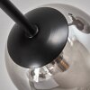 Chehalis Ceiling Light - glass 10 cm Smoke-coloured, 6-light sources