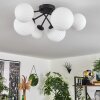 Chehalis Ceiling Light - glass 12 cm, 15 cm white, 6-light sources
