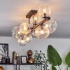 Chehalis Ceiling Light - glass 10 cm, 12 cm, 15 cm clear, 10-light sources