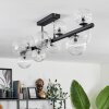 Chehalis Ceiling Light - glass 10 cm, 12 cm, 15 cm clear, 10-light sources