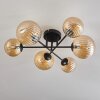 Chehalis Ceiling Light - glass 12 cm, 15 cm Amber, 6-light sources