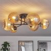 Chehalis Ceiling Light - glass 12 cm, 15 cm Amber, 6-light sources