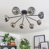 Chehalis Ceiling Light - glass 12 cm gold, black, 8-light sources